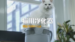  Wow, there is really an air purifier for cat hair