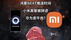  Hongmeng NEXT push time | Xiaomi executives are fired | Huawei sells beef - poor technology information