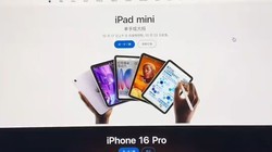 ƻͻȻ˵ߴ iPad mini