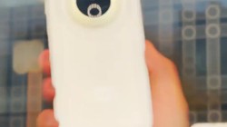 你最喜欢哪个？