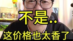 һǮ飬OPPO Reno14ļ۸Ҳ̫