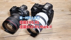 һʱ֣EOS R1EOS R5 Mark II