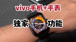 vivo̬ҹܣvivoֻWatchGT