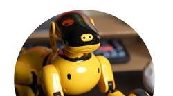  Even toys have started to roll AI. Kewang has three generations of robot dogs. They have many unique skills