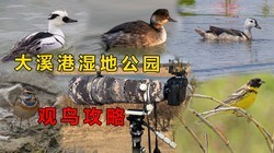 ������������ã���Ϫ��ʪ�ع�����