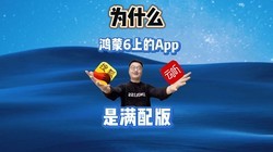 Ϊʲô����6�ϵ�App������棿