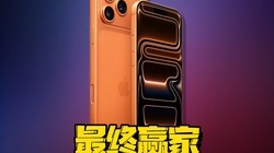 �����ֻ��׷��Ǽۣ�û��������Ӯ�Ҿ�Ȼ����ƻ��~