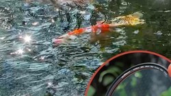 ���컧��ʵ���ǹ⾵��ˮ�淴�����ɢ��һ�ص������ǹ�