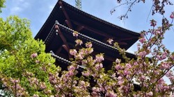 �����Ѻ�԰