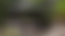 �������˼�������