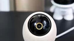 ��������ҵ��������ȸ�� Max ��Ϊ��ĸ������֣�