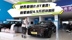 �ر���ǿ2.0T��Ϯ�����ɵ�ŷ4.5��˫������