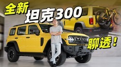 Ϊ̹�˹��� ϸ��ȫ��̹��300