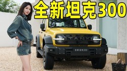 ʵ��ȫ��̹��300��ֵ������