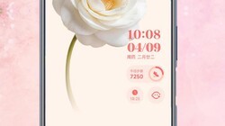 ��ҫMagicOS�·�Χ������