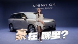 С��GX��̬���飬ɳ���ʵ�˫���ţ���������ʤ���׺��������