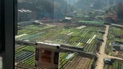 ������������Ⱥ�����3�����Ż���ʵ�⣬Ħ������M8 Pro��ǧԪ����ѡ