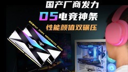 D5羺ˣPUYDDR548G(24GX2) 6000ֵ˫ѹ
