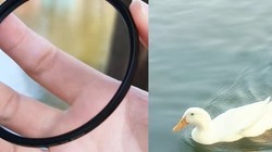 ���᾵һװ���ڹ�԰����ֱ��������Χ��