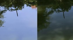 �ĺ�����������ƫ������������