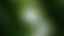 ��������ʱ��