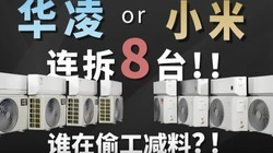 Է3򣬲𱨷8̨裿ѡСףѡյƪ͹ˣ