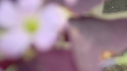 ���ʱ����ӵĽ��㾵����ϸ�����̫����