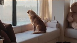 ��������������������������������»���