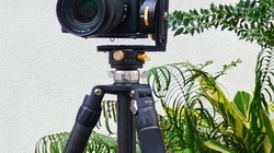 ����һš��һ���죡�����̨��Ҳ�����ɿ�ζ���