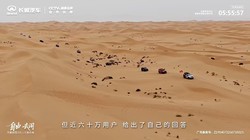 ̹��300 2026�����з�����