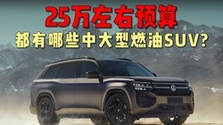 25���������ȼ���д��� SUV ���̵㣬��ȱ����ʵ˵���򳵲��ȿ�