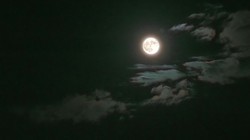 260729 ������
