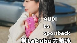 �����Ӽݵ���Labubu�ı�ѩ�ռǣ����綯quattro�����󡱵�һ��