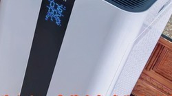 ϡȱ��֤���������������������20 ��ר����ȩ��������������֤