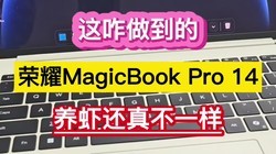 ��զ�����ģ���ҫMagicBookPro14��Ϻ���治һ��