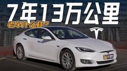 ��������˹��Model S����Щ�ˣ������û�����