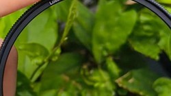 װ����öƫ�񾵣�������Ч����Ķ���