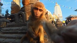 �Ჴ��|ɨ�ֵ���ϲ??���񹲾ӵļӵ�����