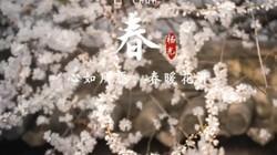 ����������������ʱ֮ʼ�� ϲ�洺����