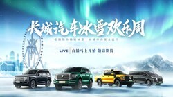 ����������ѩ������