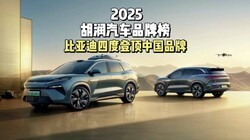 2025��������Ʒ�ư񣺱��ǵ��ĶȵǶ��й�Ʒ��