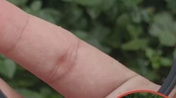 ���⵳��ϲ����UV����ˮ���ͻ�����