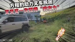 方程豹救助叉车脱困，又又又一次狂秀超强“豹友力”