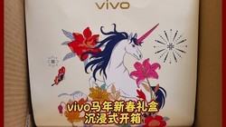 vivo�����´���г���ʽ����