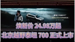 ����ԽҰ̩̹ 700 ��ʽ����