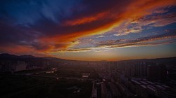 260829 ��ϼ