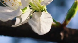 ����Լ��������