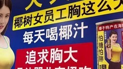 Ҭ�����Ź�����������飬��ǰ����������ײ��߱���40��Ԫ