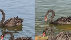 ��ˮ�沨�����Բ����⣿