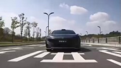 ��ά��������ը������ΪǬ���Ǽ��컨��